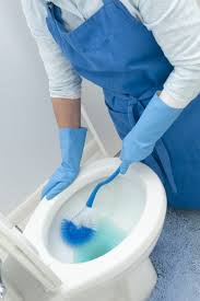 Bathroom_Cleaning.jpg